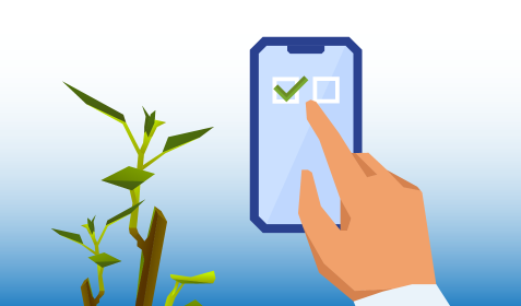 mobile check